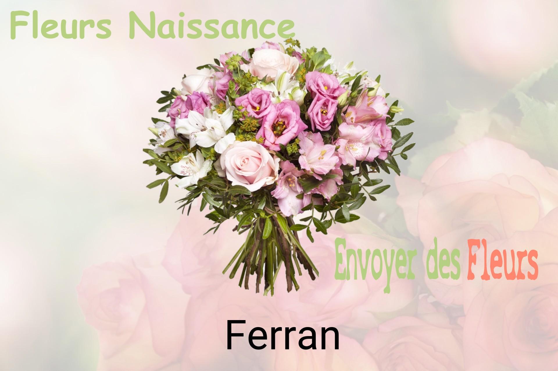 Bouquet de fleurs de naissance livré à Ferran